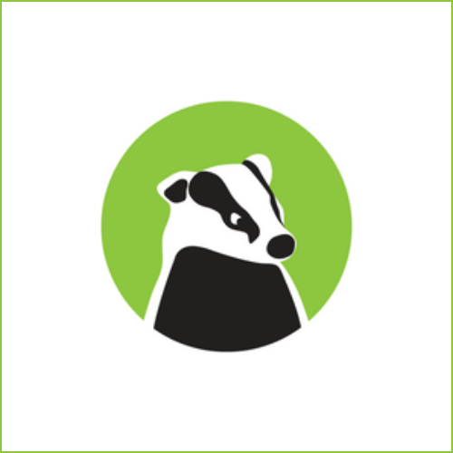 Brockenhurst village sqaure