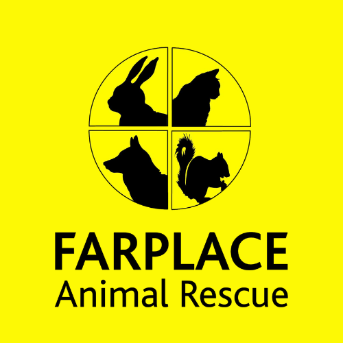 Untitled design (54)