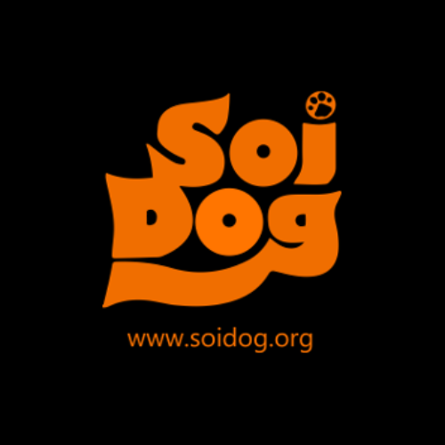 soi dog (2)