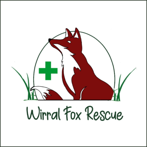 wirral fox square 